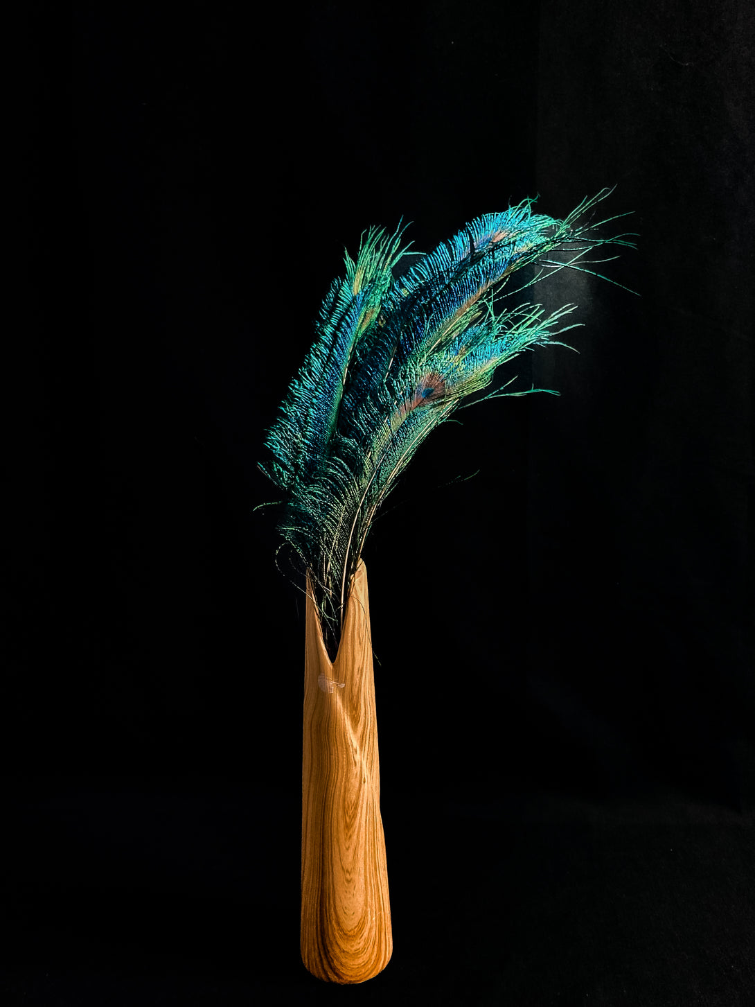 Foto von blauen und grünen Pfauenfedern 40 cm