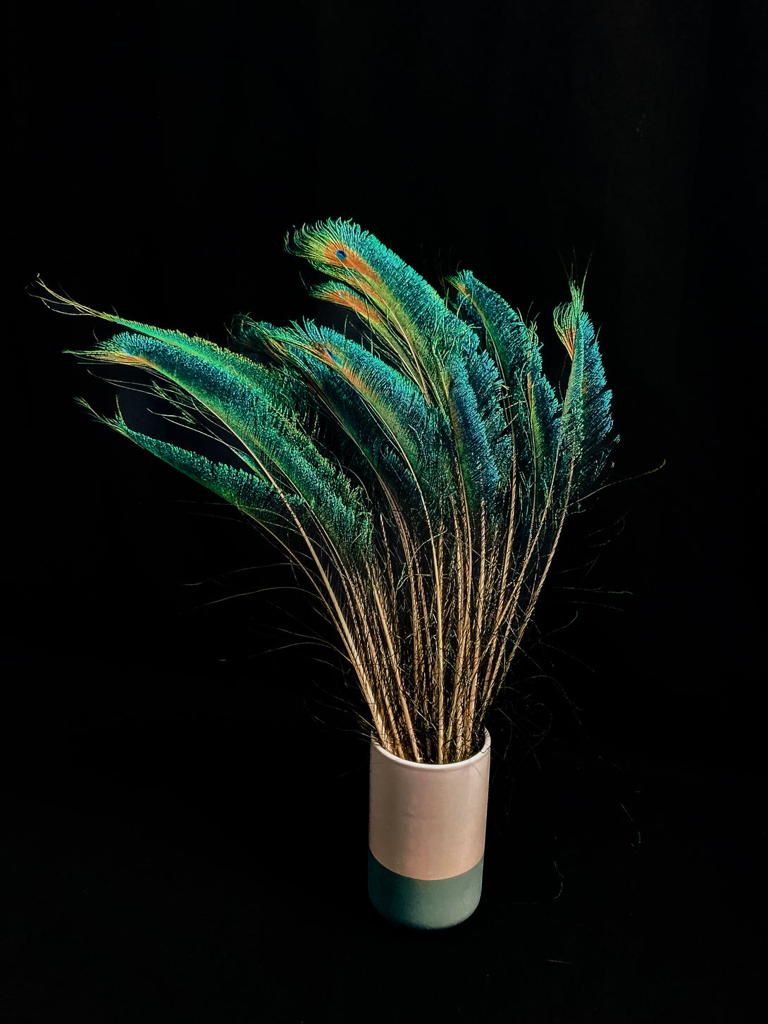 Foto von blauen und grünen Pfauenfedern 60 cm