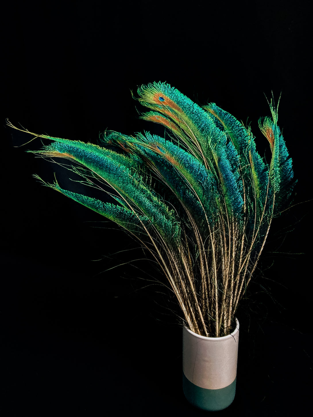 Foto von blauen und grünen Pfauenfedern 60 cm