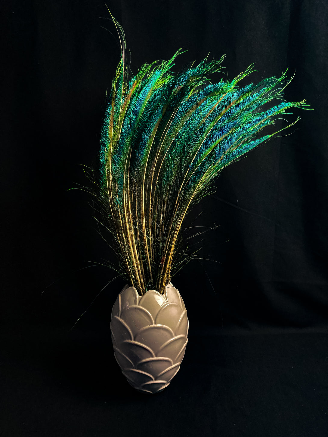 Foto von blauen und grünen Pfauenfedern 70 cm