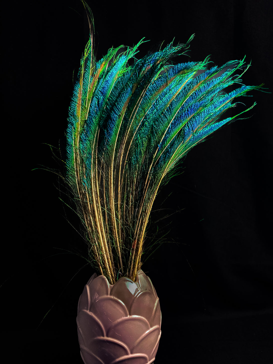 Foto von blauen und grünen Pfauenfedern 70 cm