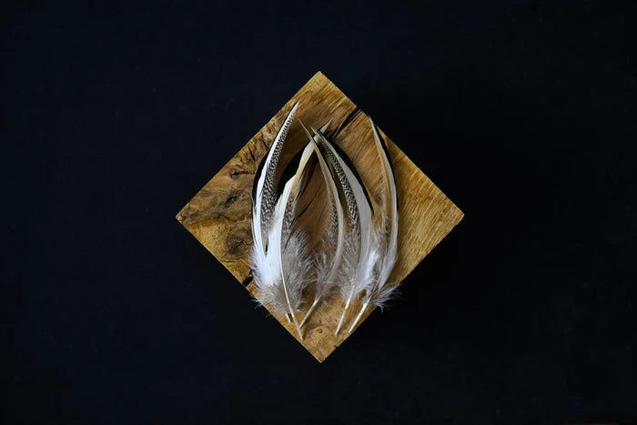 Foto von feinen grauen und weißen Entenfedern 6 bis 10 cm
