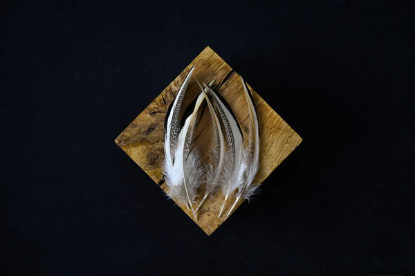 Foto von feinen grauen und weißen Entenfedern 6 bis 10 cm