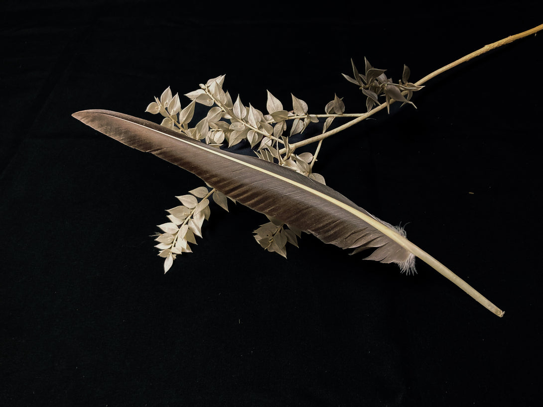 Foto von großen grauen Gänsefedern, 27 bis 32 cm