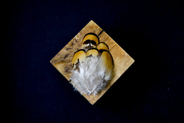 Foto von gelben Federn vom Glanzfasan 5 bis 9 cm