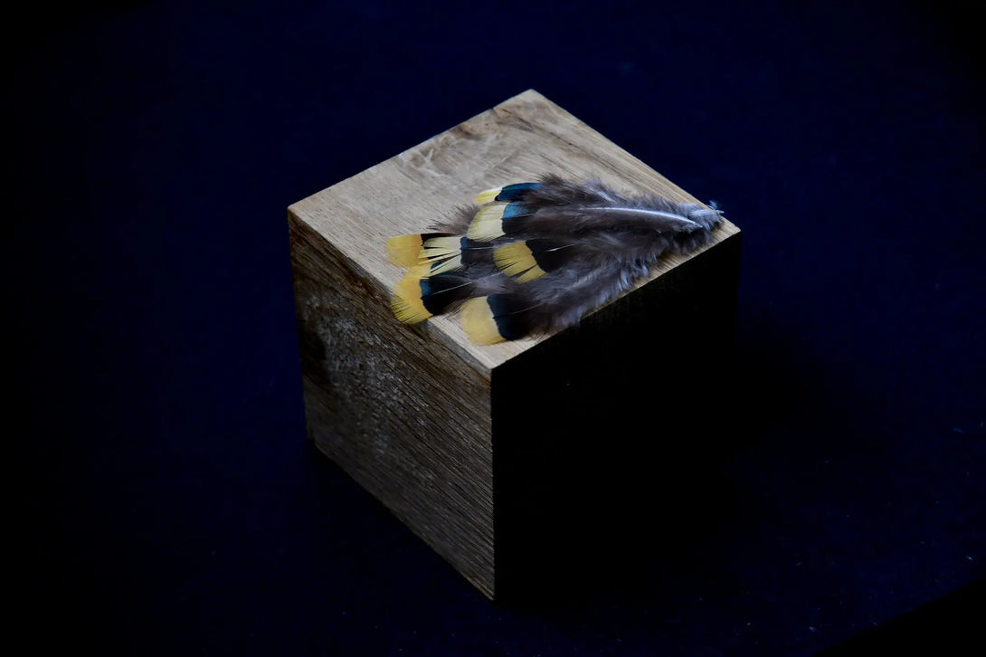 Foto von gelben und grauen Lady Amherst Fasanfedern 5 bis 8 cm