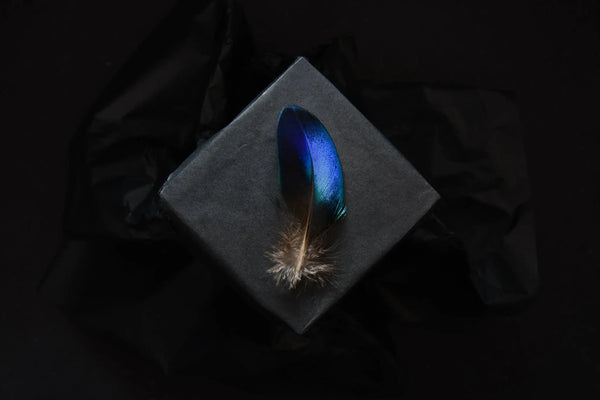 Foto von kleinen blauen Pfauenfedern 5 bis 8 cm