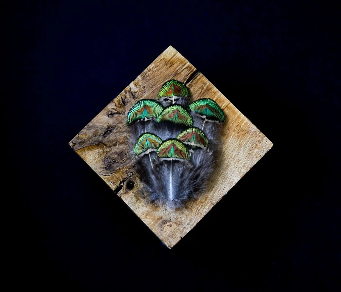 Foto von kleinen grünen Pfauenfedern 5 cm
