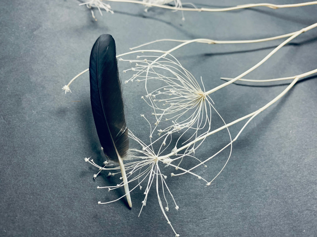 Foto von schwarzen Rabenfedern, 8 bis 12 cm