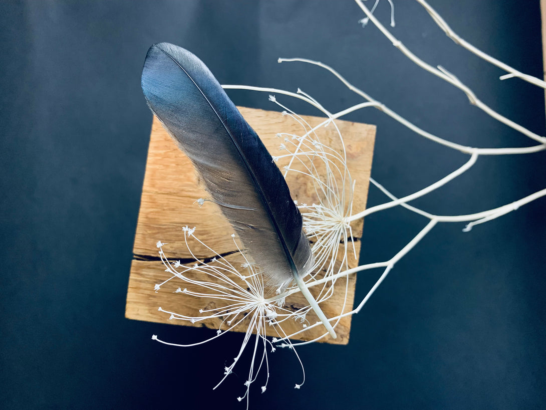 Foto von schwarzen Rabenfedern, 8 bis 12 cm
