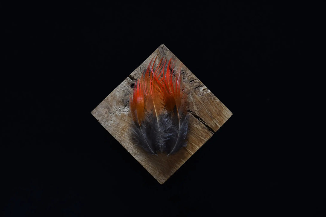 Foto von roten und orangefarbenen Goldfasanfedern, 5 bis 10 cm