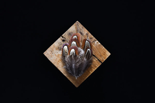 Foto von schokoladenfarbenen Jagdfasanfedern 5 bis 10 cm