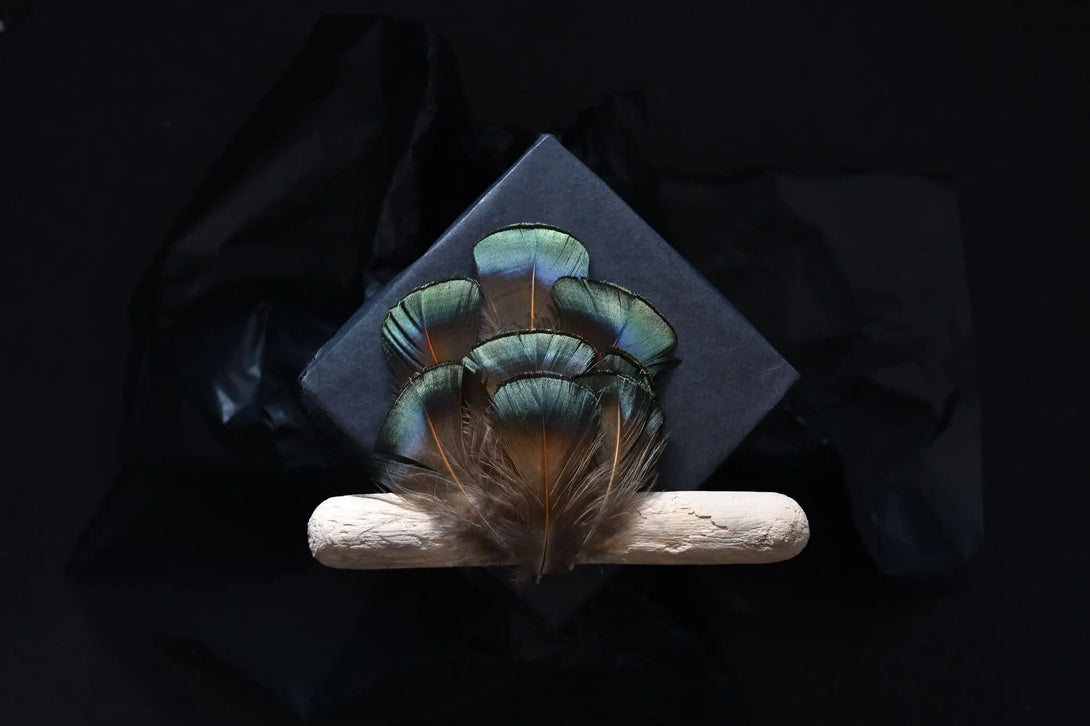 Foto von smaragdgrünen Lady Amherst Fasanfedern 5 bis 7 cm