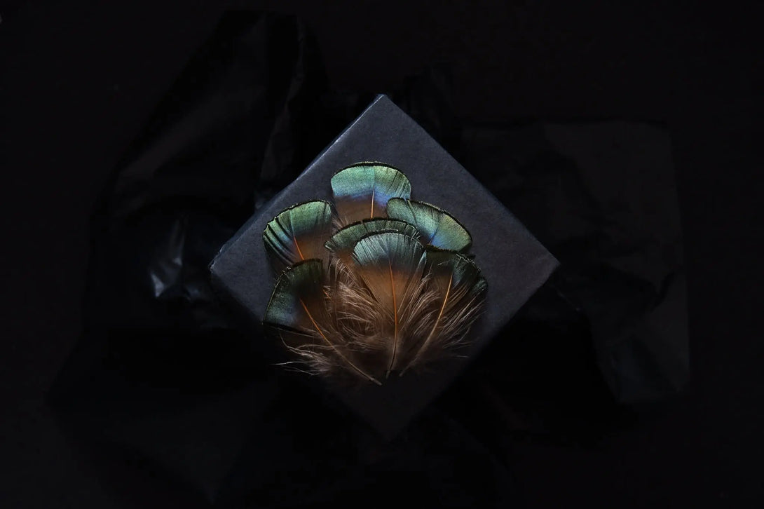 Foto von smaragdgrünen Lady Amherst Fasanfedern 5 bis 7 cm