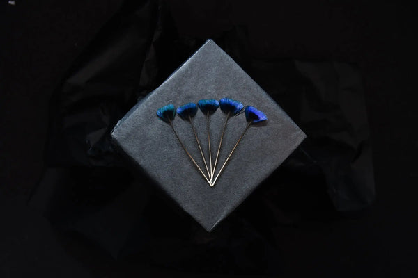 Plumes de paons, bleu électrique Plumes Naturelles